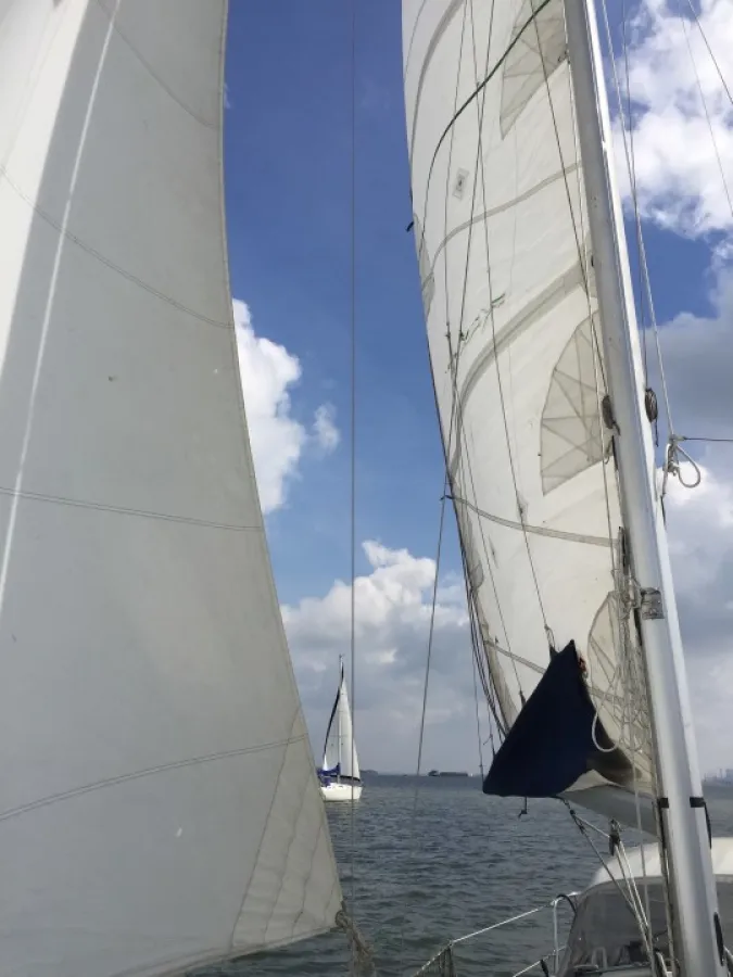 Polyester Zeilboot  282