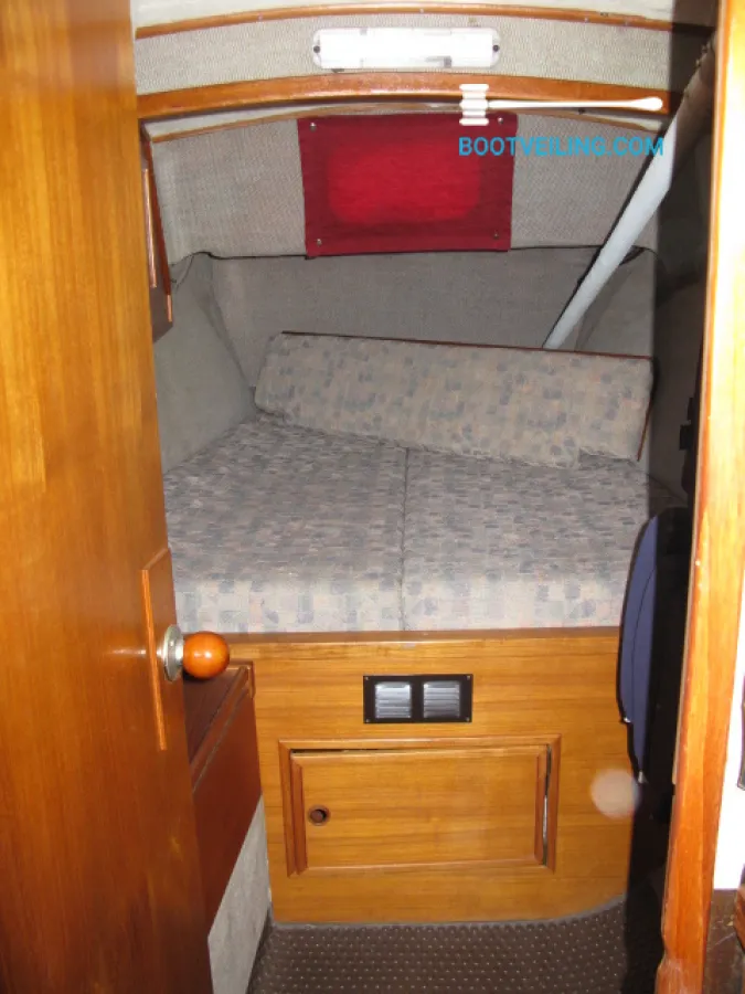 Polyester catamaran Catamaran 37