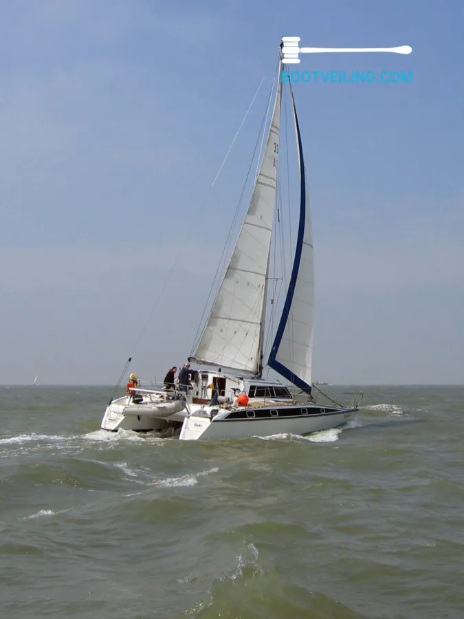 Polyester catamaran Catamaran 37