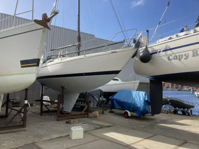 Polyester Sailboat Bostrom 31 MKII Photo 7
