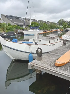 Acier Voilier Vollenhovense bol Platbodem Photo 17