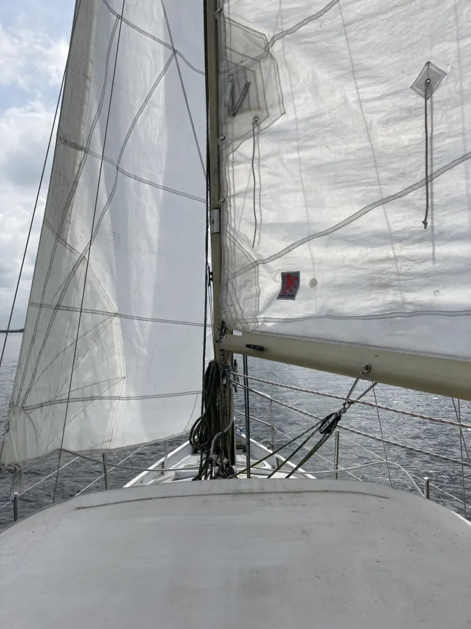 Steel Sailboat Cabin sailboat 830