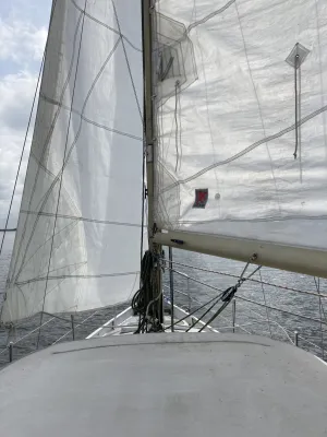 Steel Sailboat Cabin sailboat 830 Photo 11