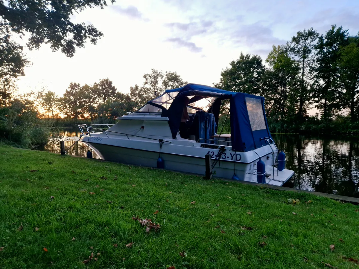 Polyester Bateau rapide Cruisers International Holiday224