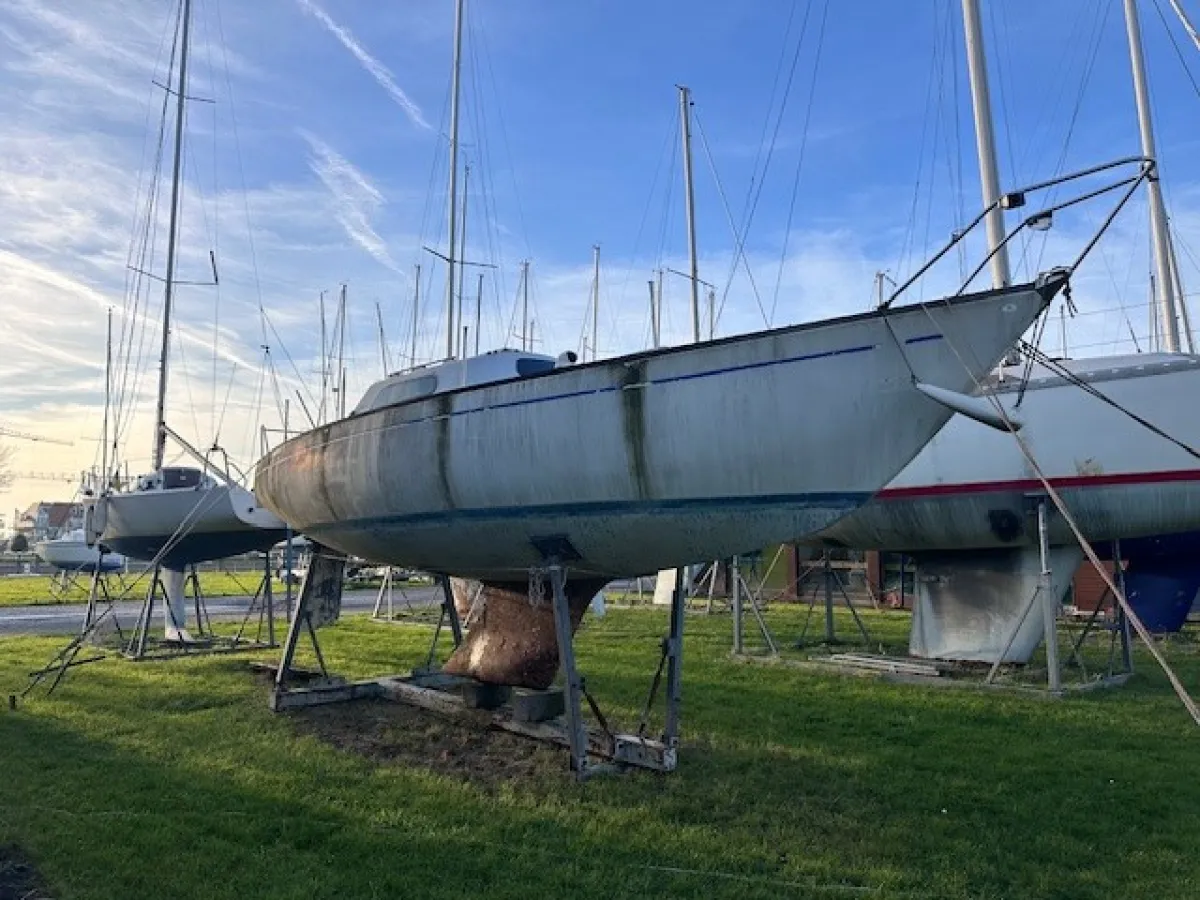 Polyester Zeilboot Mallard Start 7