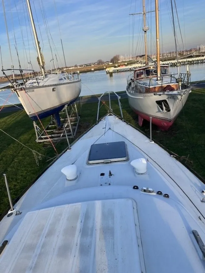 Polyester Zeilboot Mallard Start 7
