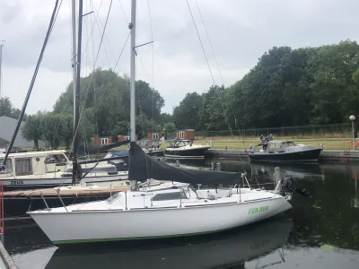 Polyester Segelboot Gib'Sea 80Plus Foto 4