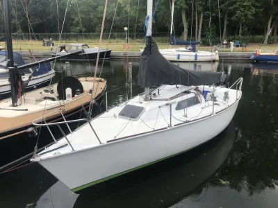 Polyester Segelboot  80 Plus Foto 14