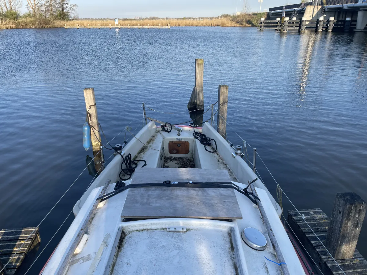 Polyester Budgetboat Cabin sailboat 650