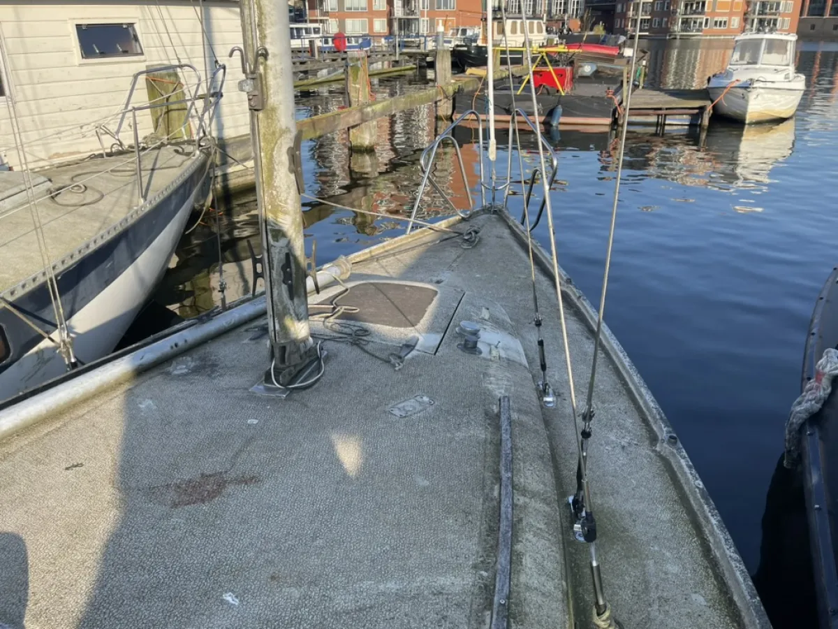 Polyester Budgetboat Cabin sailboat 800