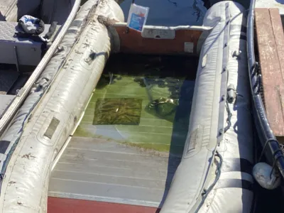 Other material Budgetboat RIB 320 Photo 4