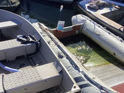Other material Budgetboat RIB 320 Photo 6