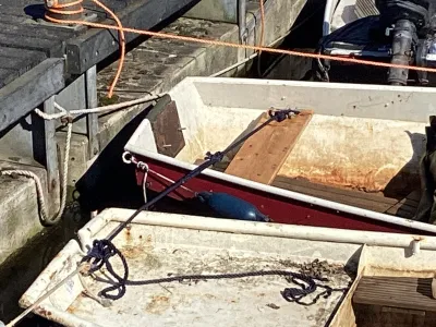 Steel Budgetboat Vlet 350 Photo 3