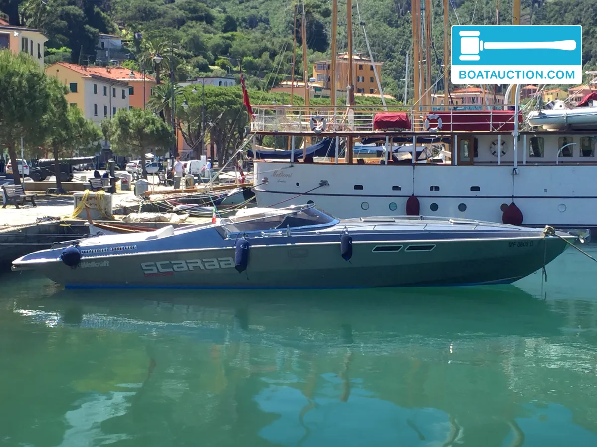 Thumbnail - Wellcraft Scarab