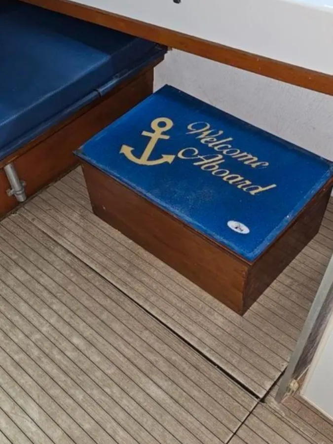 Polyester Motorboat Alpha Polaris Luxe