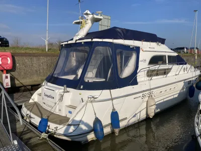 Polyester Motorboat Sealine 420 Statesman Photo 10