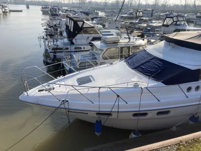 Polyester Motorboat Sealine 420 Statesman Photo 6