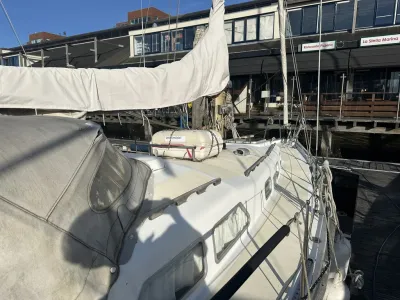 Polyester Sailboat Frans Maas Raider 35 Photo 11