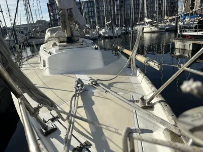 Polyester Sailboat Frans Maas Raider 35 Photo 12
