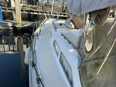 Polyester Sailboat Frans Maas Raider 35 Photo 19
