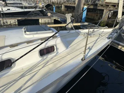 Polyester Sailboat Frans Maas Raider 35 Photo 27