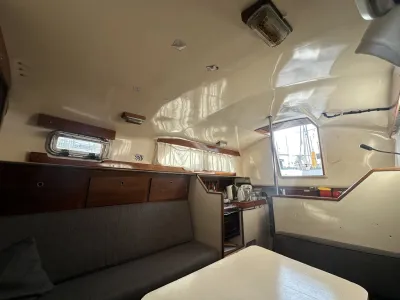 Polyester Sailboat Frans Maas Raider 35 Photo 30
