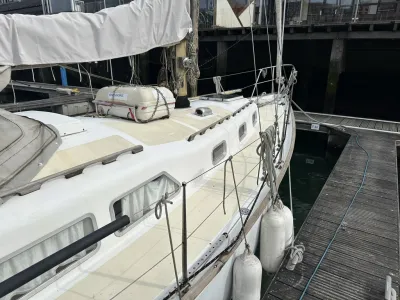 Polyester Sailboat Frans Maas Raider 35 Photo 45
