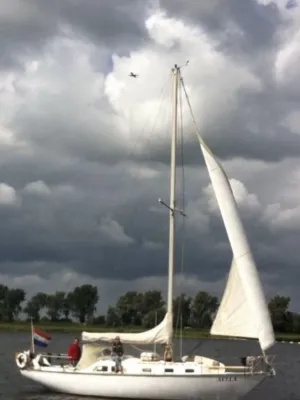 Polyester Sailboat Frans Maas Raider 35 Photo 49