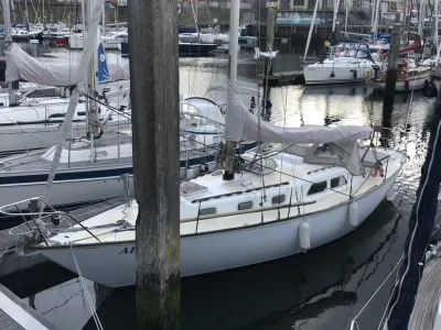 Polyester Sailboat Frans Maas Raider 35 Photo 58