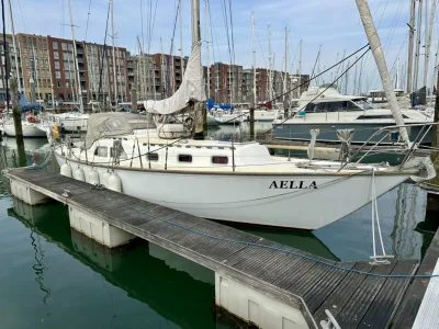 Polyester Sailboat Frans Maas Raider 35 Photo 0