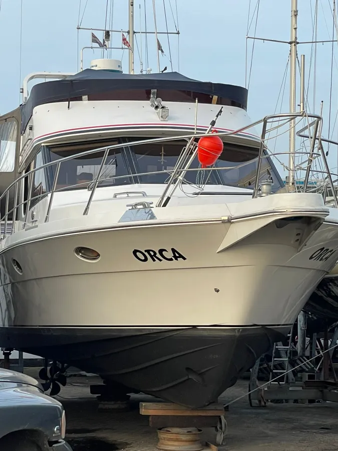 Polyester Motorboat President 425