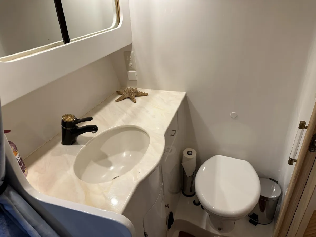Polyester Motorboat President 425