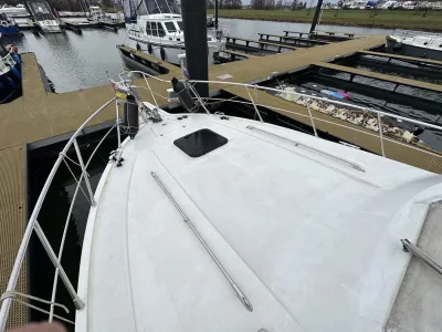 Polyester Motorboat President 425 Photo 37