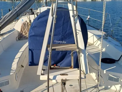 Polyester Sailboat Cobra 33 Photo 22