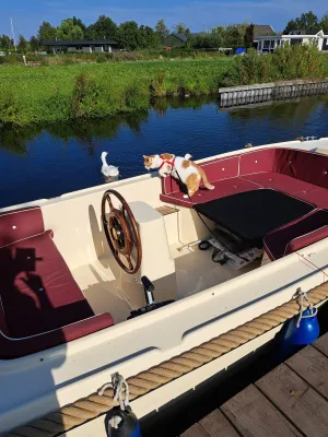 Polyester Sloop Oud Huijzer 560 Photo 5