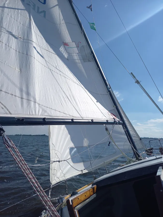 Polyester Zeilboot Wing 720