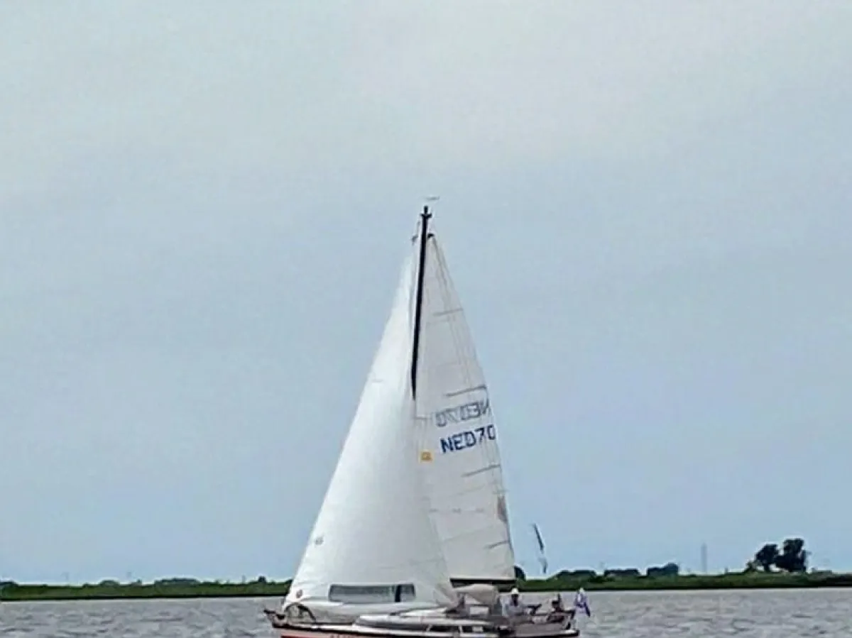 Polyester Zeilboot Wing 720