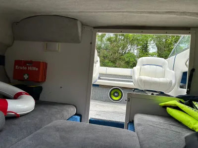 Polyester Speedboat Sea Ray 200 Signature Photo 12