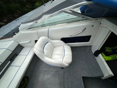 Polyester Speedboat Sea Ray 200 Signature Photo 10