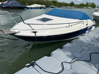 Polyester Speedboat Sea Ray 200 Signature Photo 2