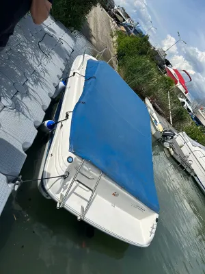 Polyester Speedboat Sea Ray 200 Signature Photo 3