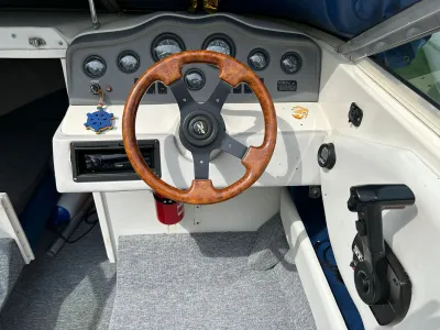 Polyester Speedboat Sea Ray 200 Signature Photo 8