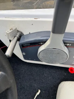 Polyester Speedboat Placom 360 Photo 6