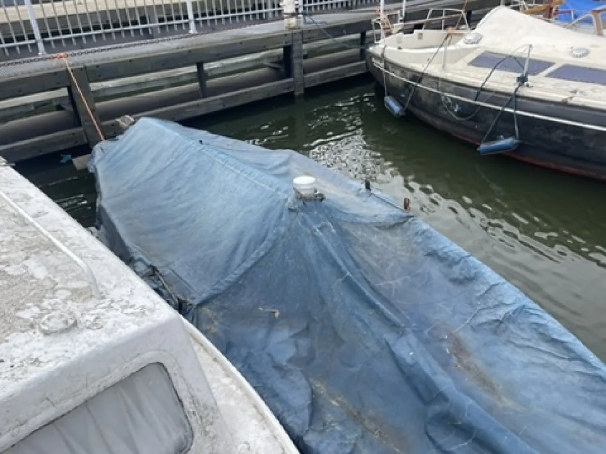Steel Budgetboat Zeeschouw 550