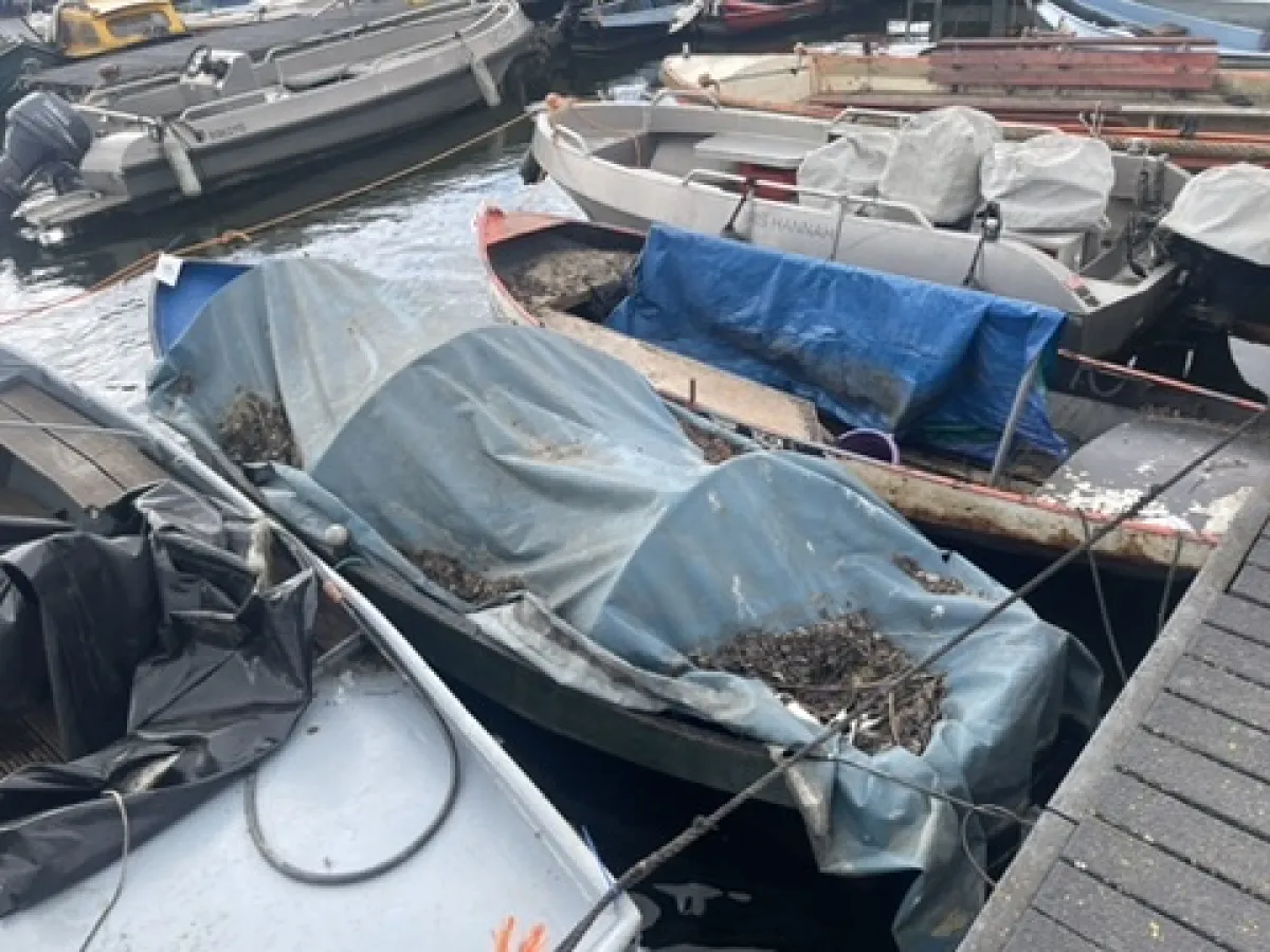 Steel Budgetboat Punter 400