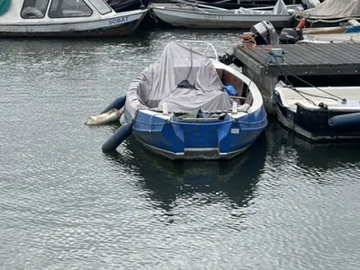 Steel Budgetboat Vlet 600 Photo 1
