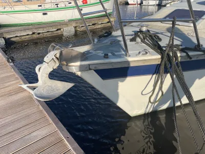 Polyester Zeilboot Westerly Riviera Foto 5