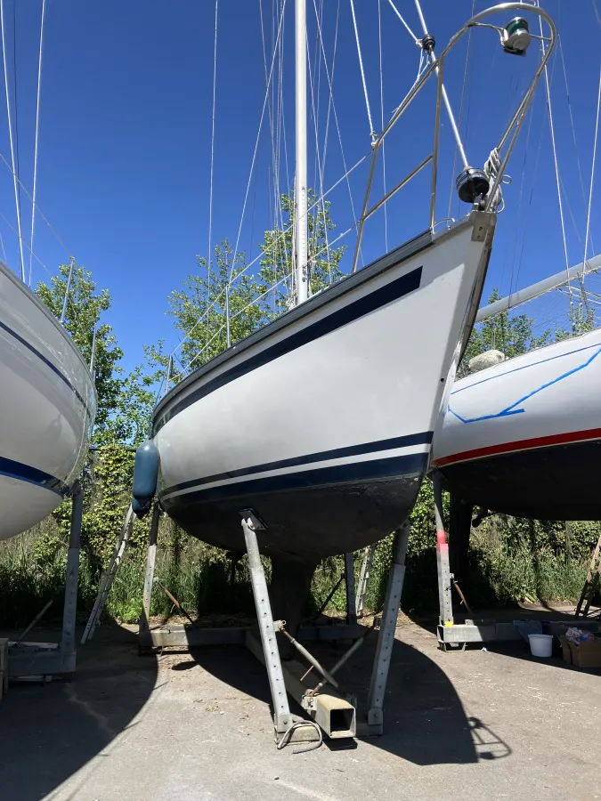 Polyester Sailboat Dufour 29