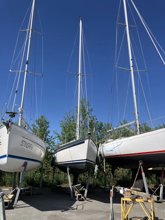 Polyester Sailboat Dufour 29