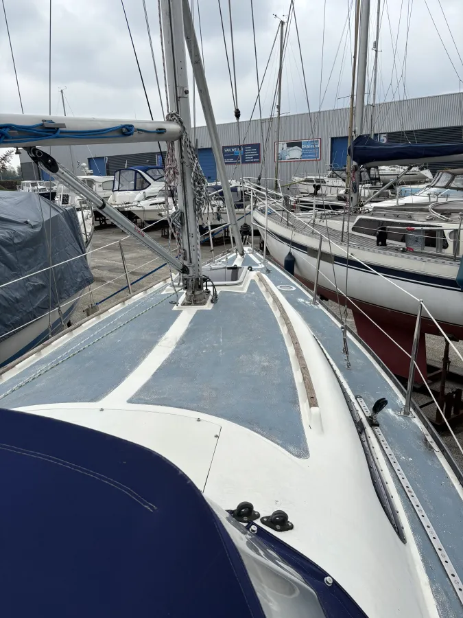 Polyester Sailboat Verl 900